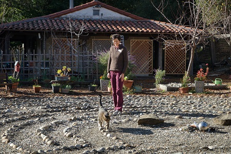 Leo, the resident cat, serves as a labyrinth guide in the Canticle Garden.